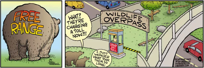 Free Range for Nov 05, 2023