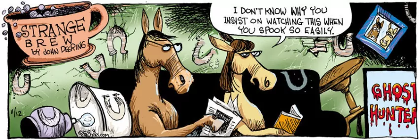 Strange Brew for Nov 12, 2023