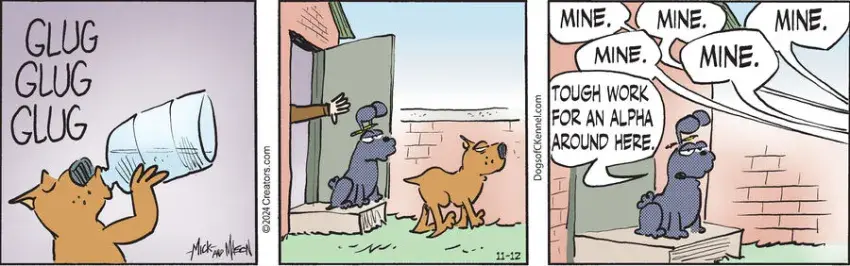 Dogs of C-Kennel for Nov 12, 2024