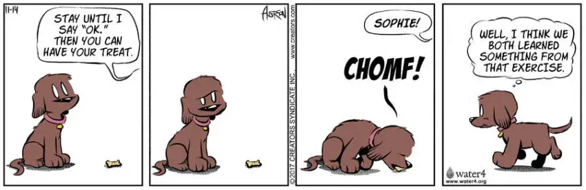 Dog Eat Doug for Nov 14, 2022