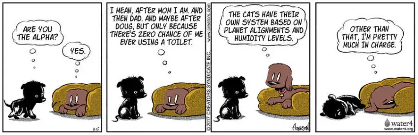 Dog Eat Doug for Nov 15, 2022