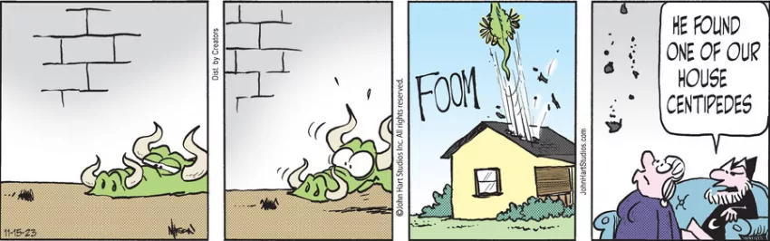 Wizard of Id for Nov 15, 2023