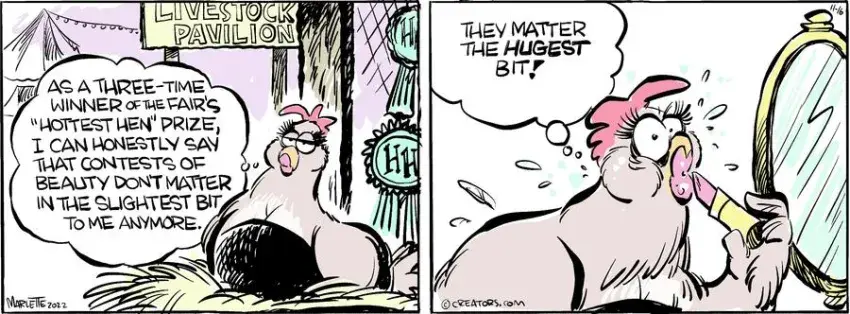 Shrimp and Grits for Nov 16, 2022