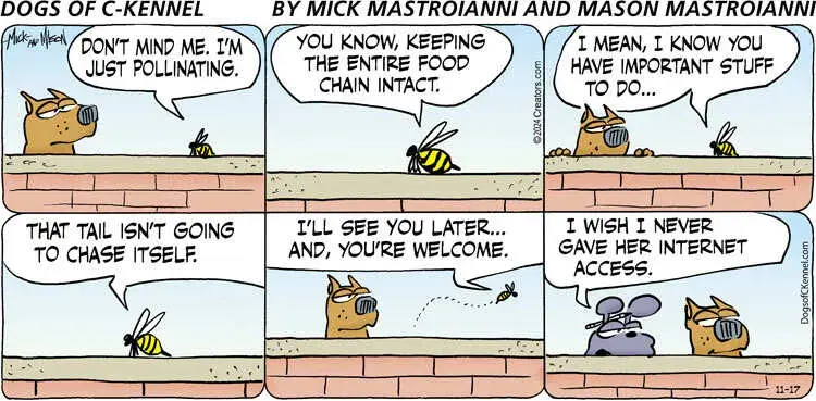 Dogs of C-Kennel for Nov 17, 2024