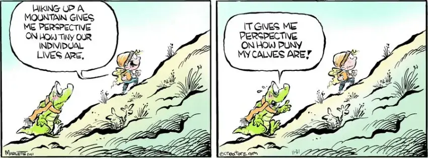 Shrimp and Grits for Nov 21, 2024