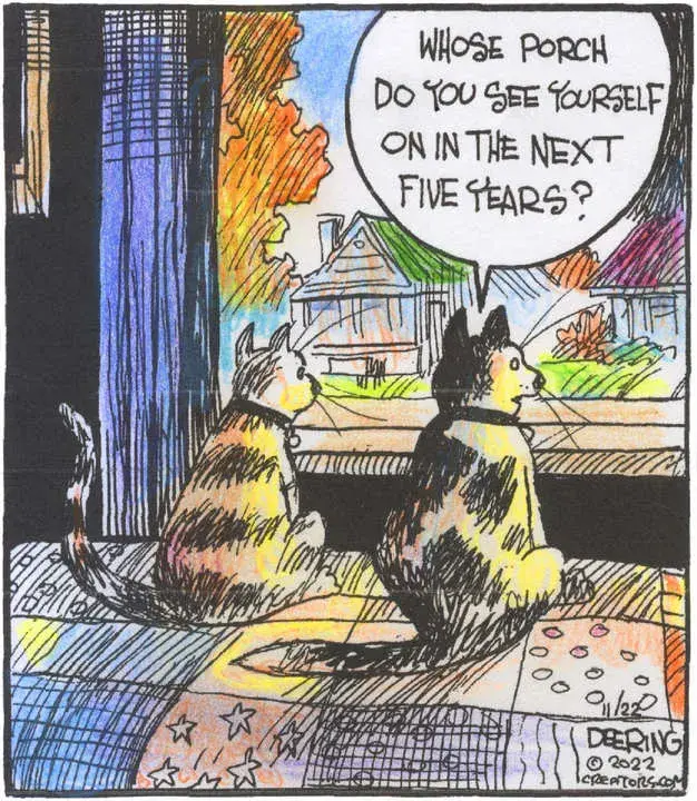 Strange Brew for Nov 22, 2022