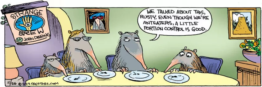 Strange Brew for Nov 26, 2023