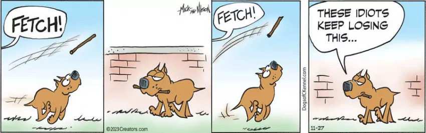 Dogs of C-Kennel for Nov 27, 2023