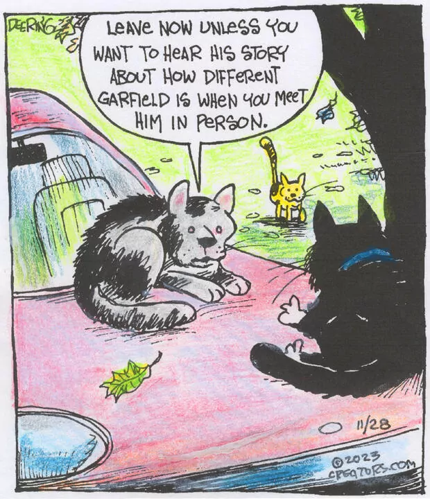 Strange Brew for Nov 28, 2023