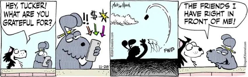 Dogs of C-Kennel for Nov 28, 2024