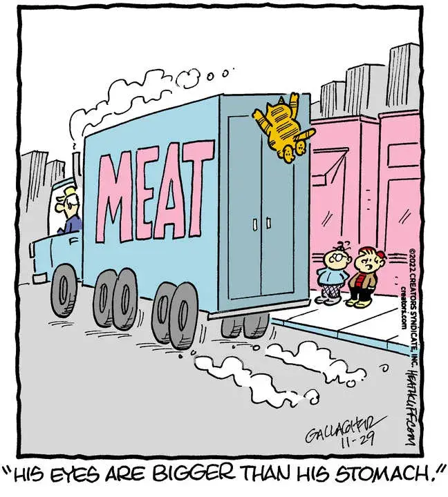 Heathcliff for Nov 29, 2022