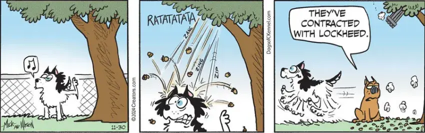 Dogs of C-Kennel for Nov 30, 2024