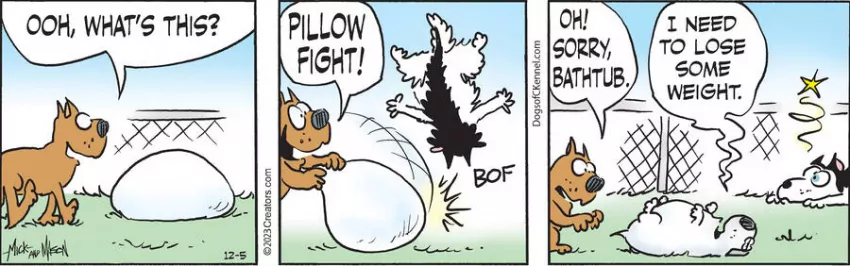 Dogs of C-Kennel for Dec 05, 2023