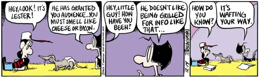 Agnes for Dec 14, 2022