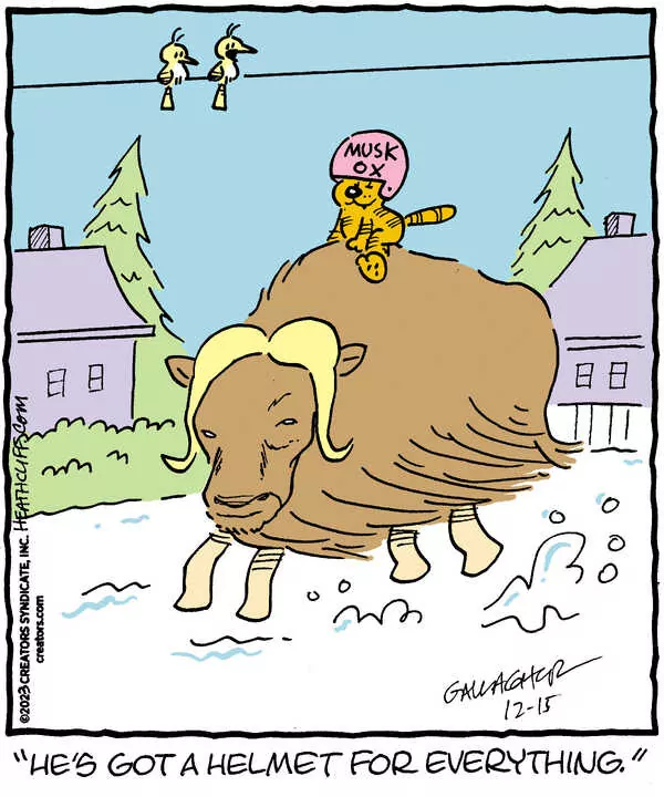 Heathcliff for Dec 15, 2023