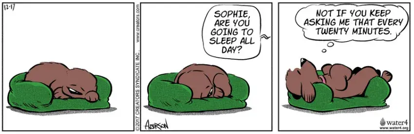 Dog Eat Doug for Dec 17, 2022