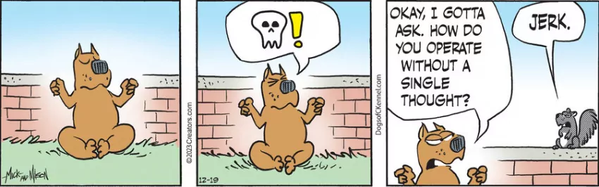 Dogs of C-Kennel for Dec 19, 2023