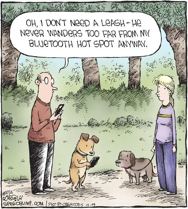 Speed Bump for Dec 19, 2024