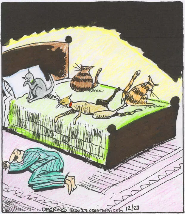 Strange Brew for Dec 23, 2023