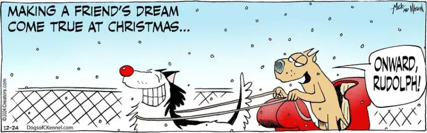 Dogs of C-Kennel for Dec 24, 2024