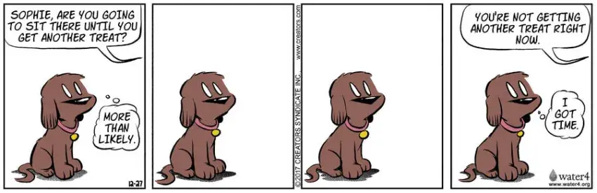 Dog Eat Doug for Dec 27, 2022