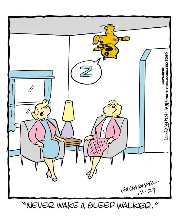 Heathcliff for Dec 29, 2021